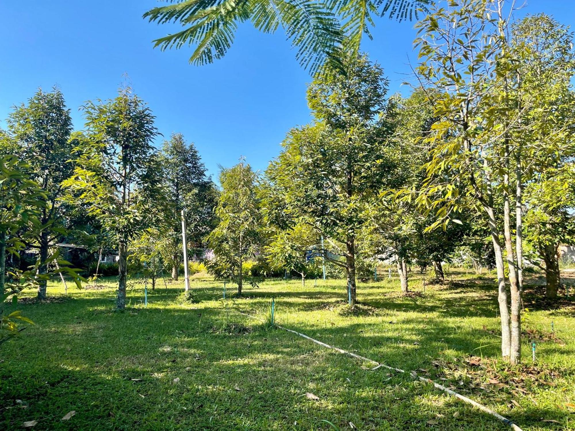 Panpim Resort Noen Hom Екстер'єр фото